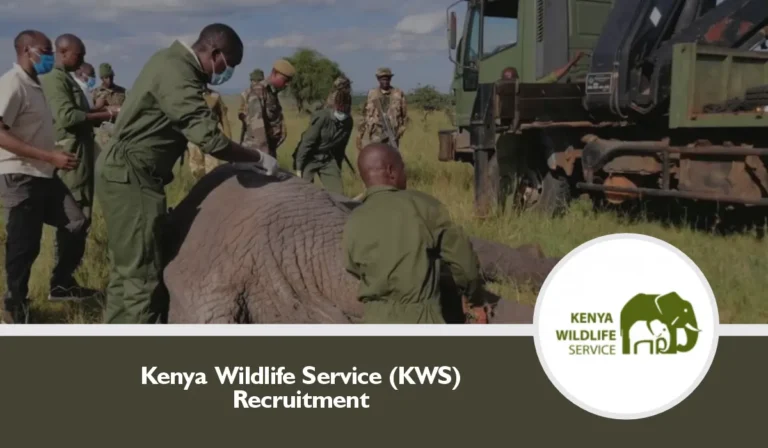 KWS Recruitment 2024/2025 Application Form Portal | www.kws.go.ke.