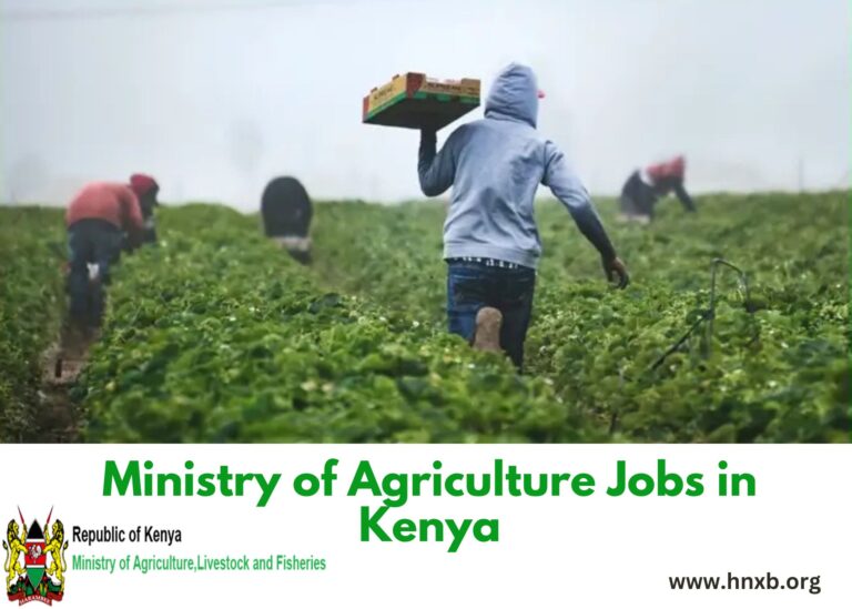 Ministry of Agriculture Jobs in Kenya Today